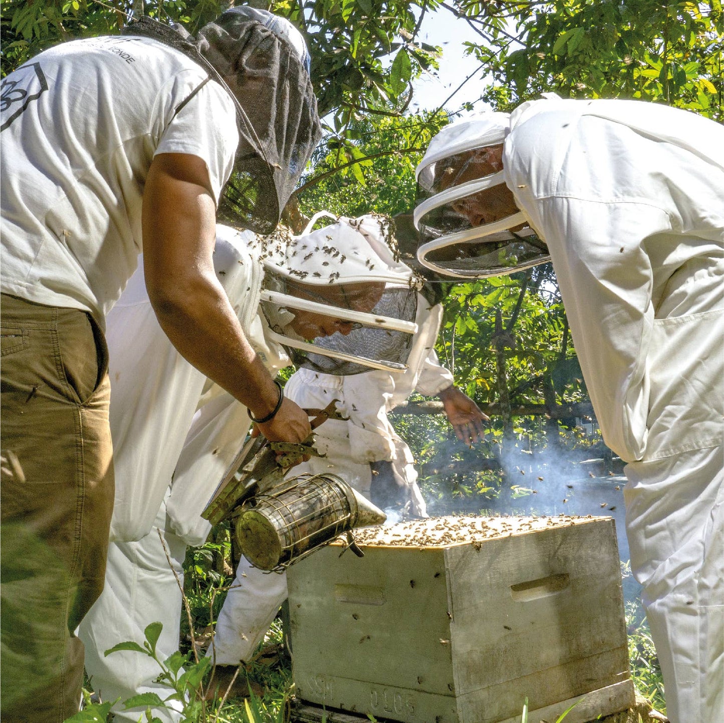 Madagascar Lychee honey 250g - BIO